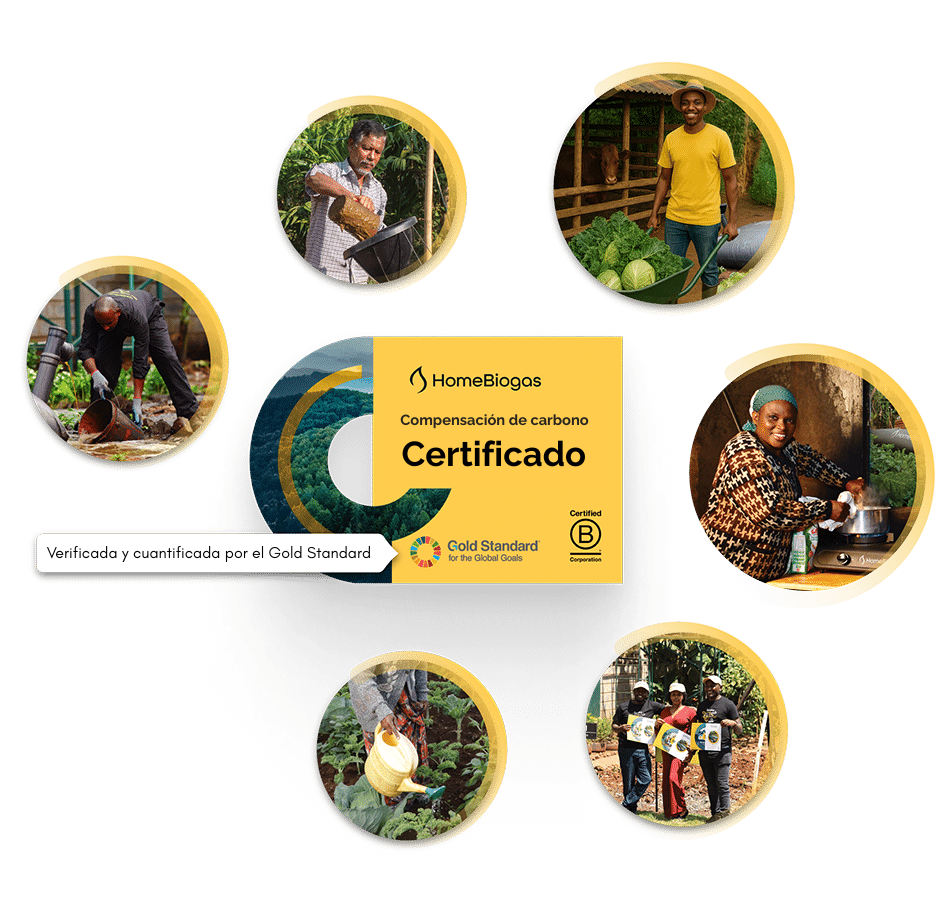 Placeholder image for carbon footprint section