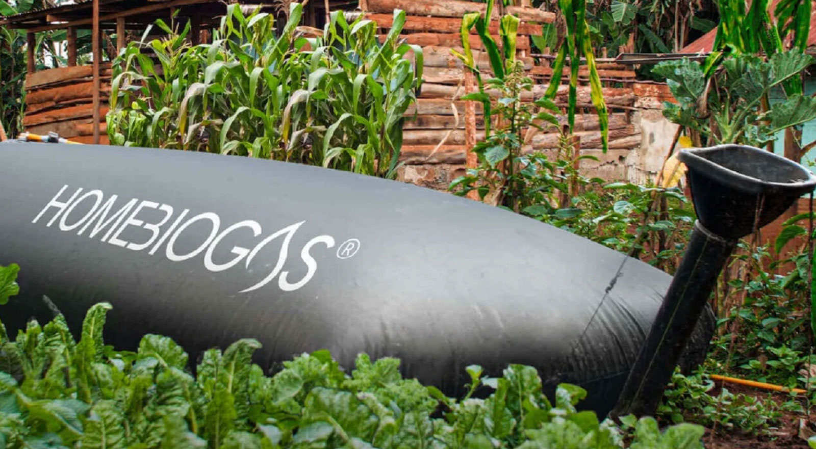 Ventajas de un Biodigestor