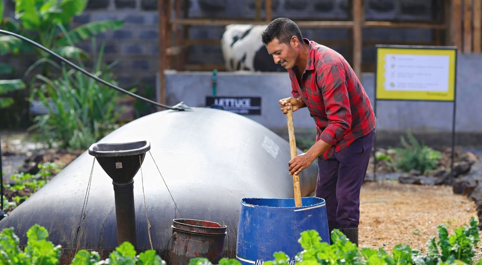 Beneficios del HomeBiogas 8.0