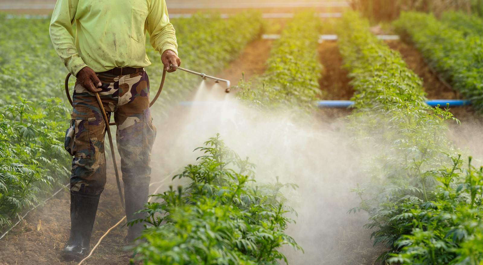 Beneficios del Biofertilizante