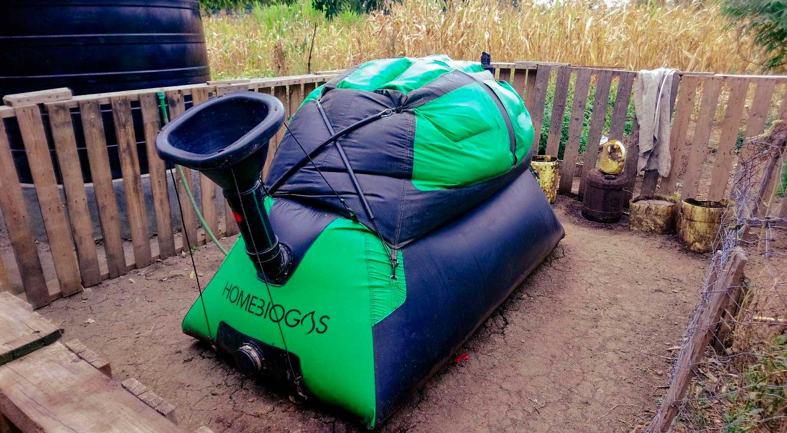 Biomovement Ambiental